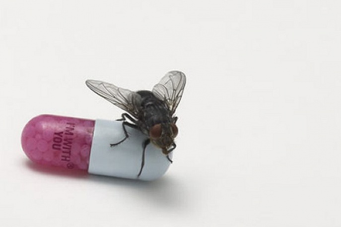 Red Hot Chili Peppers są z nami