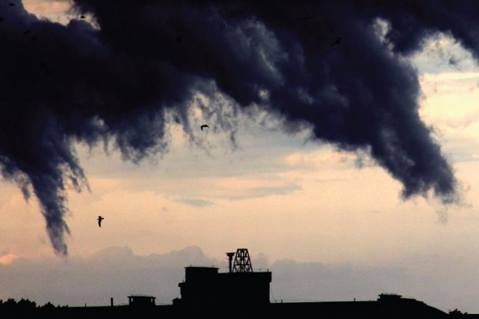 Płyta Sinusoidal już w sklepach