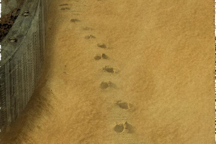 Jelonek pokazał okładkę