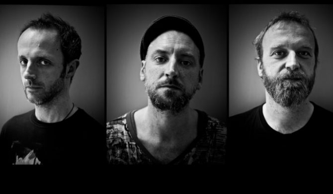 Fink jednak w Palladium