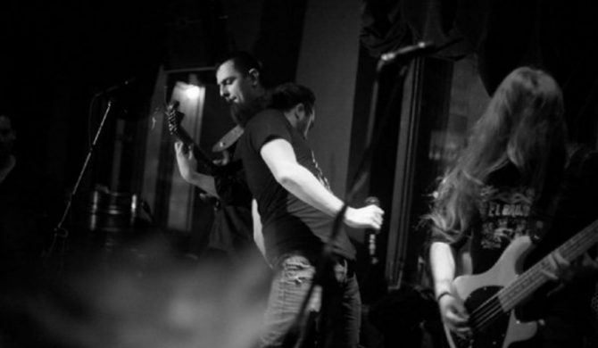 Skowyt szykuje debiut