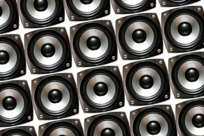 OLiS: W swoim gronie