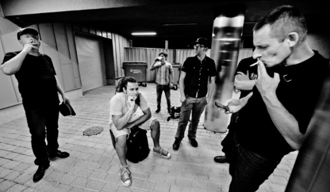 Sztywny Pal Azji na żywo