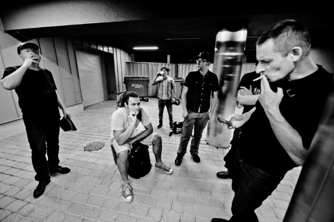 Sztywny Pal Azji na żywo