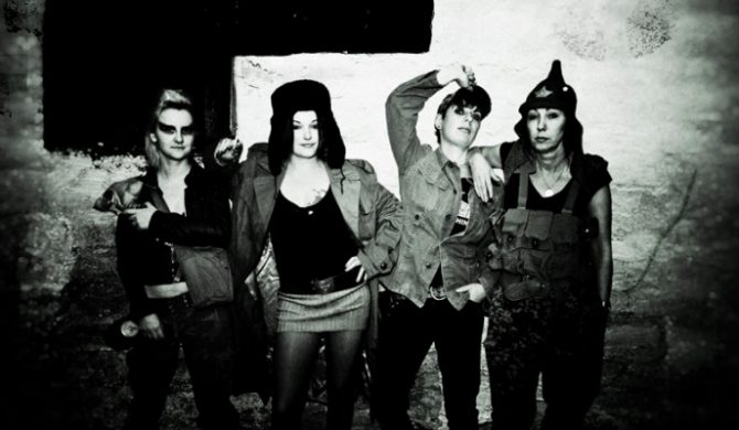 Translola zagra dla Kwaska