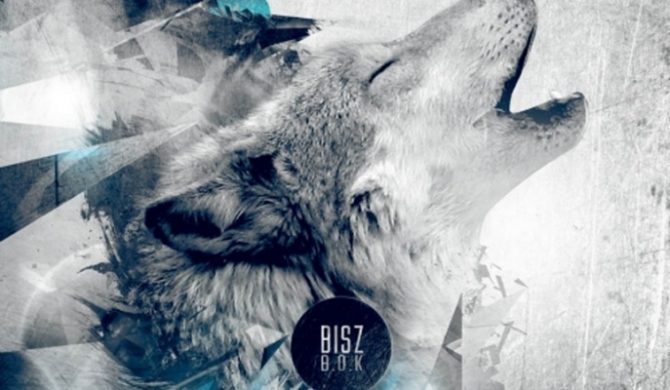 Zbliża się solowy debiut Bisza