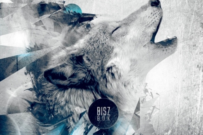 Zbliża się solowy debiut Bisza