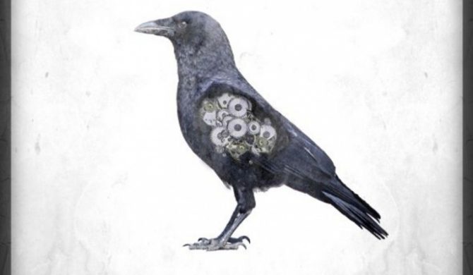 Kruk ujawnia okładkę nowego albumu