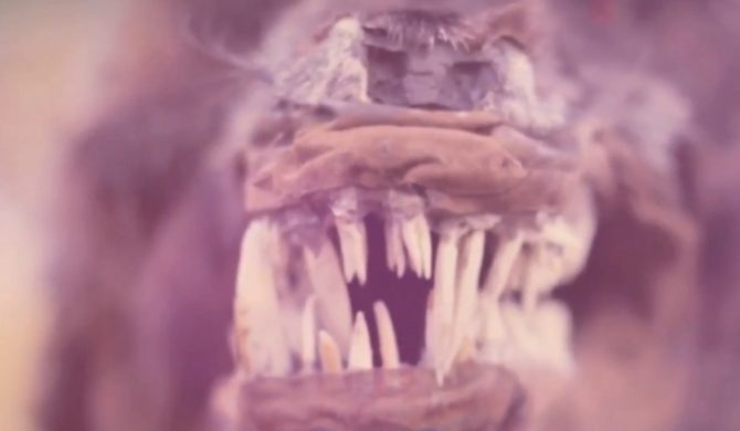 Ocean „Waterfall” – premiera klipu