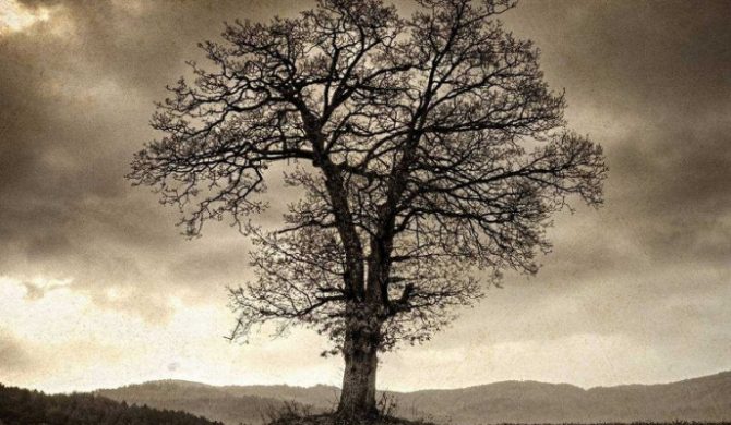 T.Love – „Lucy Phere” (video)