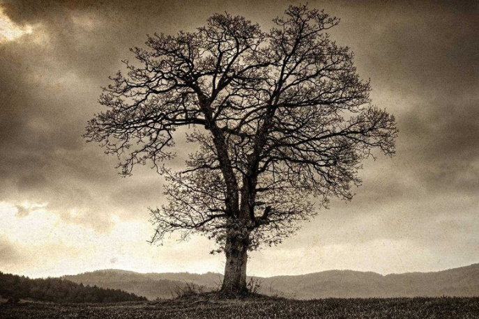 T.Love – „Lucy Phere” (video)