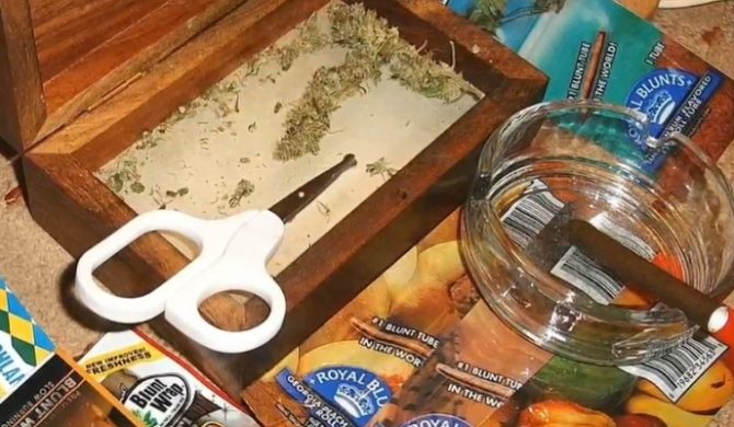 Technologia drzewa Proceente