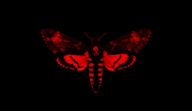 Lil Wayne, Drake i Future w jednym teledysku – video