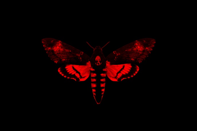 Lil Wayne, Drake i Future w jednym teledysku – video