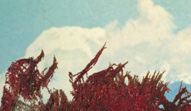 Ścianka zagra w Hydrozagadce