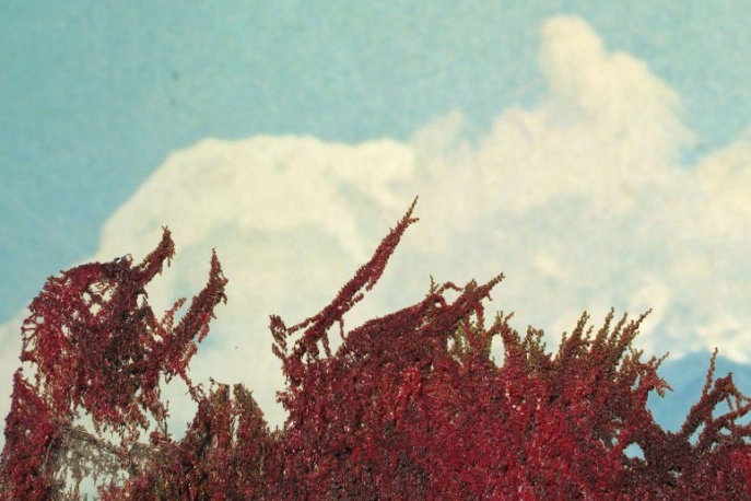 Ścianka zagra w Hydrozagadce