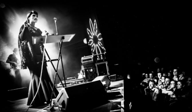 Kolejne gwiazdy Selectora