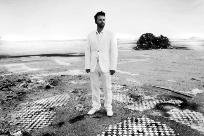 Pigs, Joys and Organs