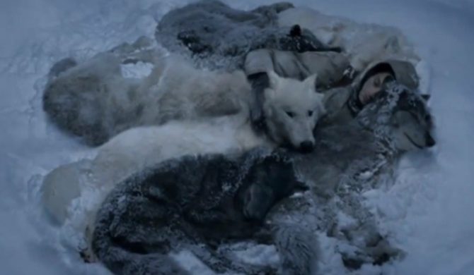 Kajman vs. Bruno Aveillan – „Plecak Znaleziony Na Szczycie” (wideo)