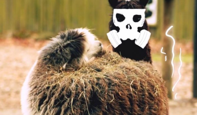 Pork Pores Porkinson – „Ludzkie zoo” (wideo)