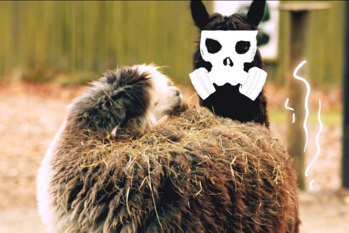 Pork Pores Porkinson – „Ludzkie zoo” (wideo)