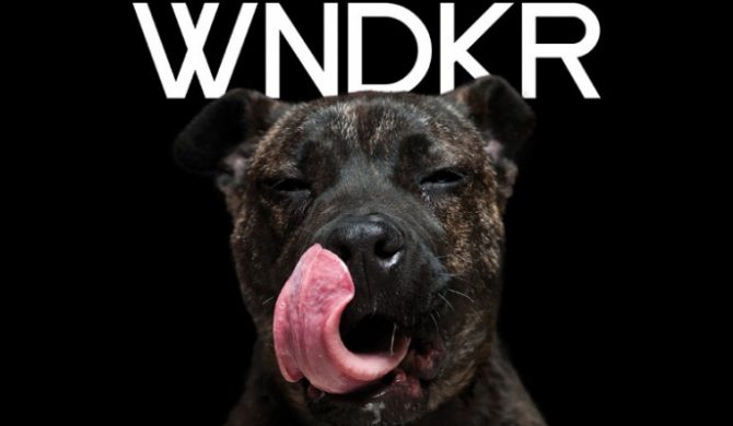 WNDKR zaprasza na koncerty