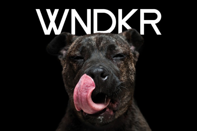 WNDKR zaprasza na koncerty