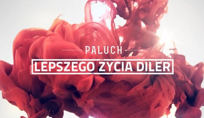 Złota Płyta dla Palucha