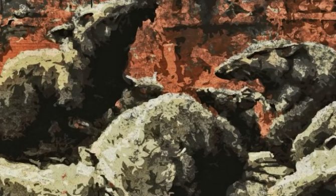 Jeżozwierz, Junes, Kidd i DJ Ace jako TrueSzczurs – nowa inicjatywa członków Rap Addix