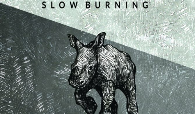 Bokka, Kari, Fismoll i inni na składance wytwórni Nextpop