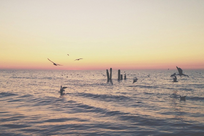 Czarny HiFi- „Santeria Perdition” (audio)