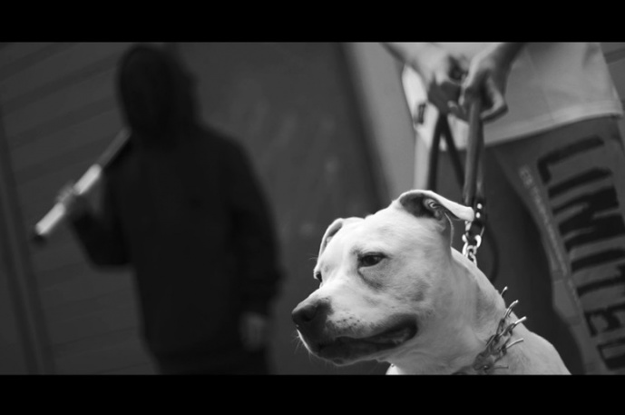 Rozbójnik Alibaba – „Dzisiaj mamy siłę” ft. Paluch (wideo)