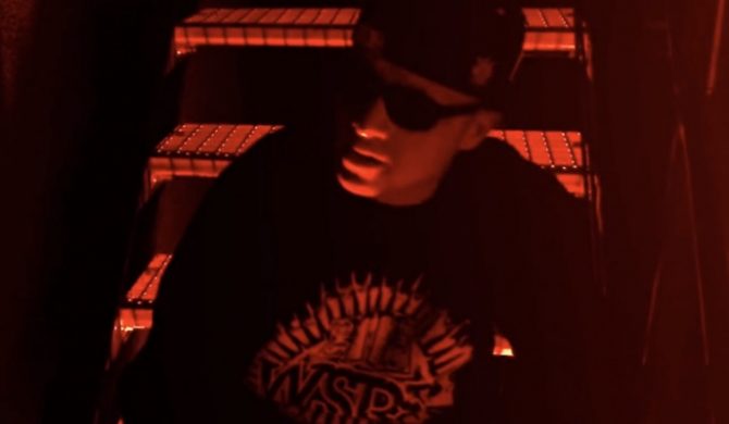 Shellerini – „Stamina” (wideo)