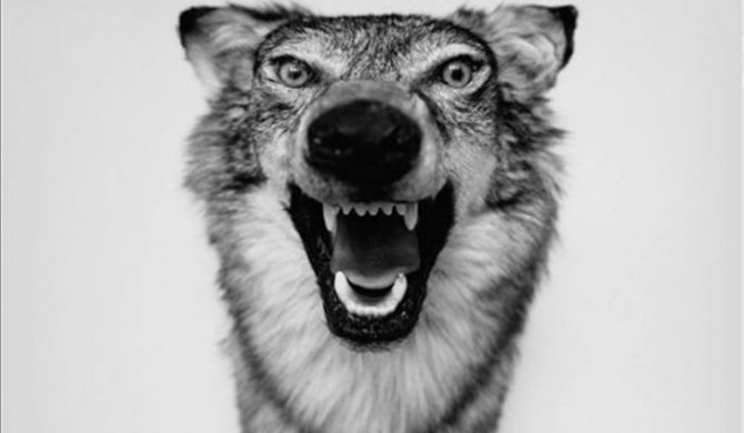 „Love Story” Yelawolfa wreszcie z polską datą premiery!