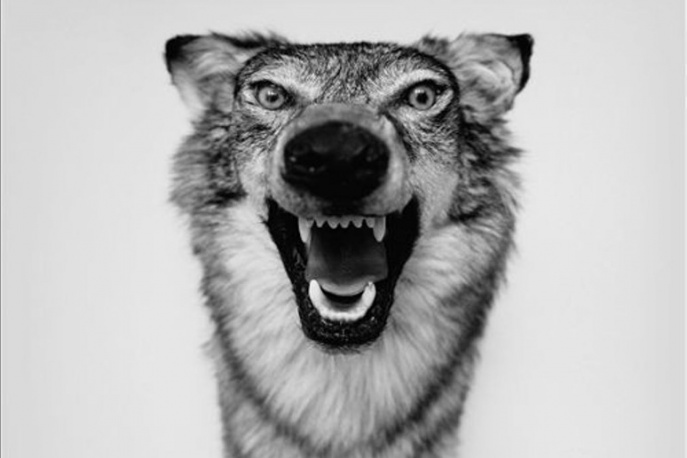 „Love Story” Yelawolfa wreszcie z polską datą premiery!