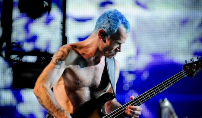 Pchła, która pokochała pszczoły. Nowe hobby basisty Red Hot Chili Peppers