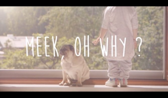 Meek, Oh Why? – nowy artysta w Asfalt Records