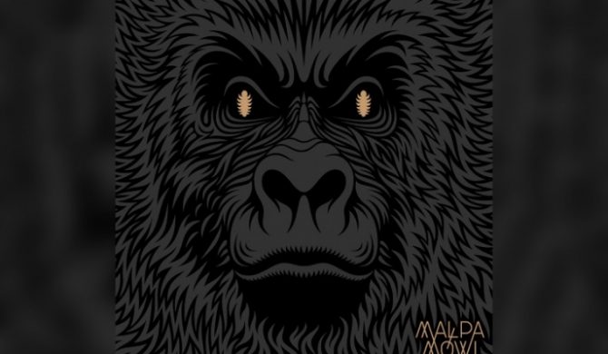 Małpa udostępnia odsłuch „Mówi”