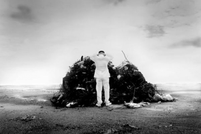 „Świnie” na koncercie w całej okazałości