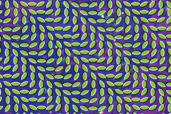 Animal Collective z najlepszym albumem 2009 roku