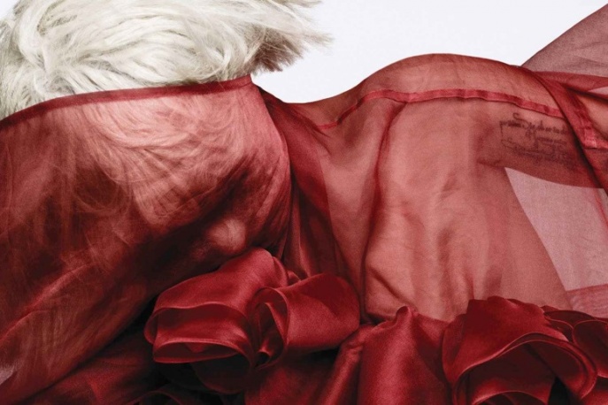 Lady GaGa, Green Day i Pink na Grammy