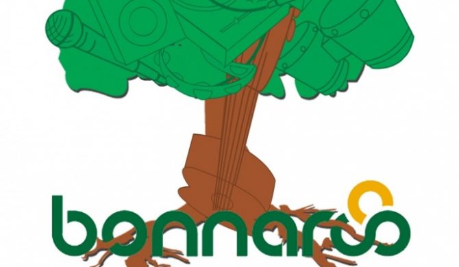 The Best Of Bonnaroo