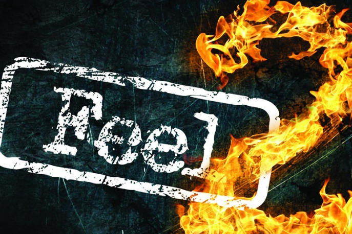 Feel Złoty W Dniu Premiery